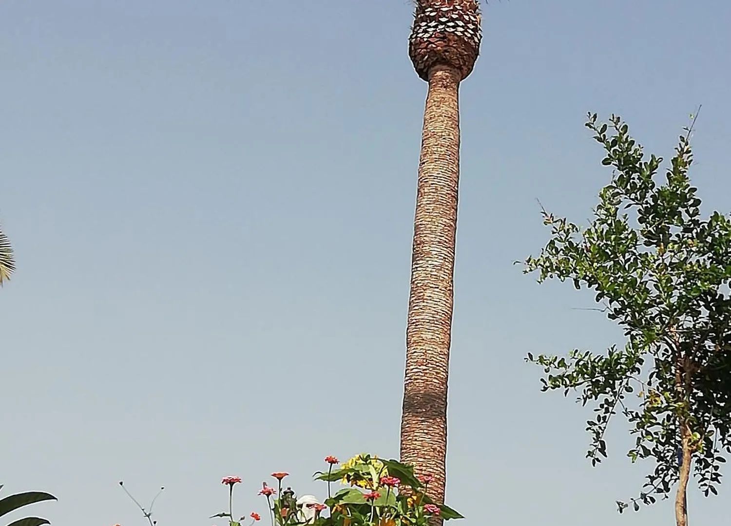 Finca Las Tapias, Casa Papin Puerto de la Cruz  Spanien