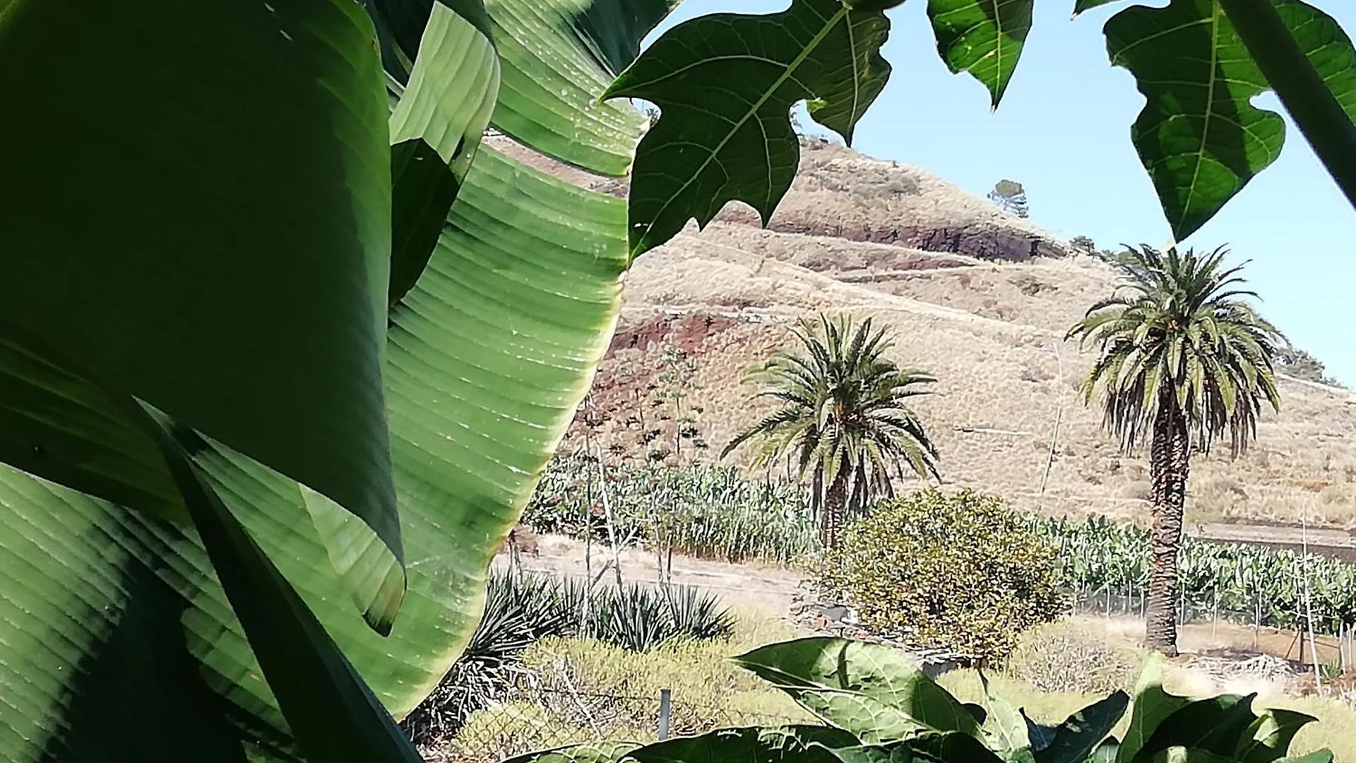 Feriehus Finca Las Tapias, Casa Papin Puerto de la Cruz  Spanien