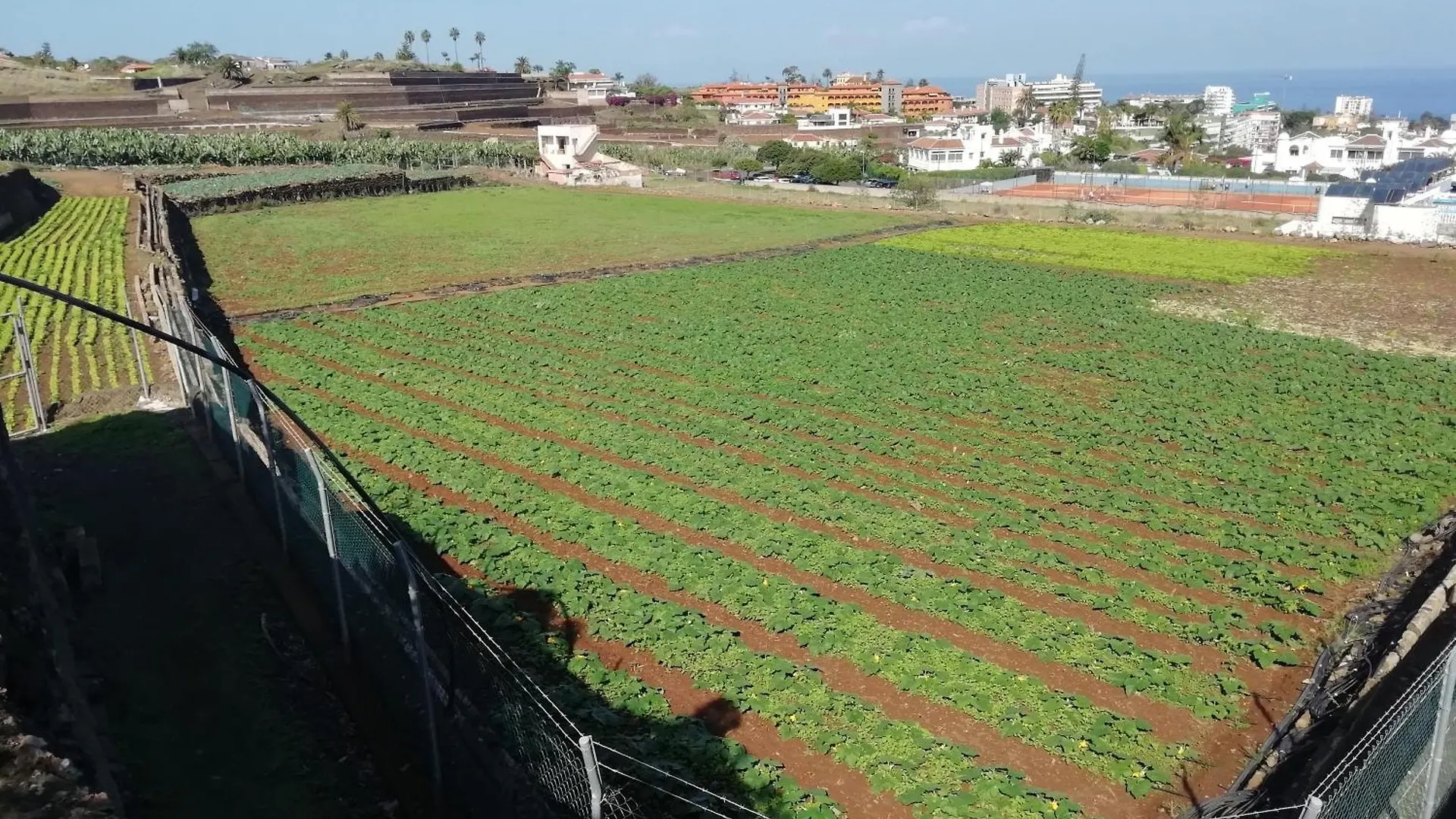 Finca Las Tapias, Casa Papin Puerto de la Cruz