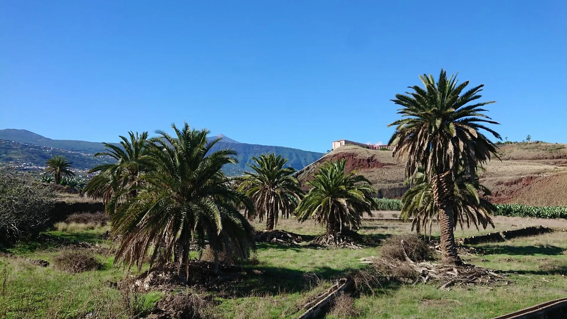 Finca Las Tapias, Casa Papin Puerto de la Cruz  Holiday home Puerto de la Cruz (Tenerife)