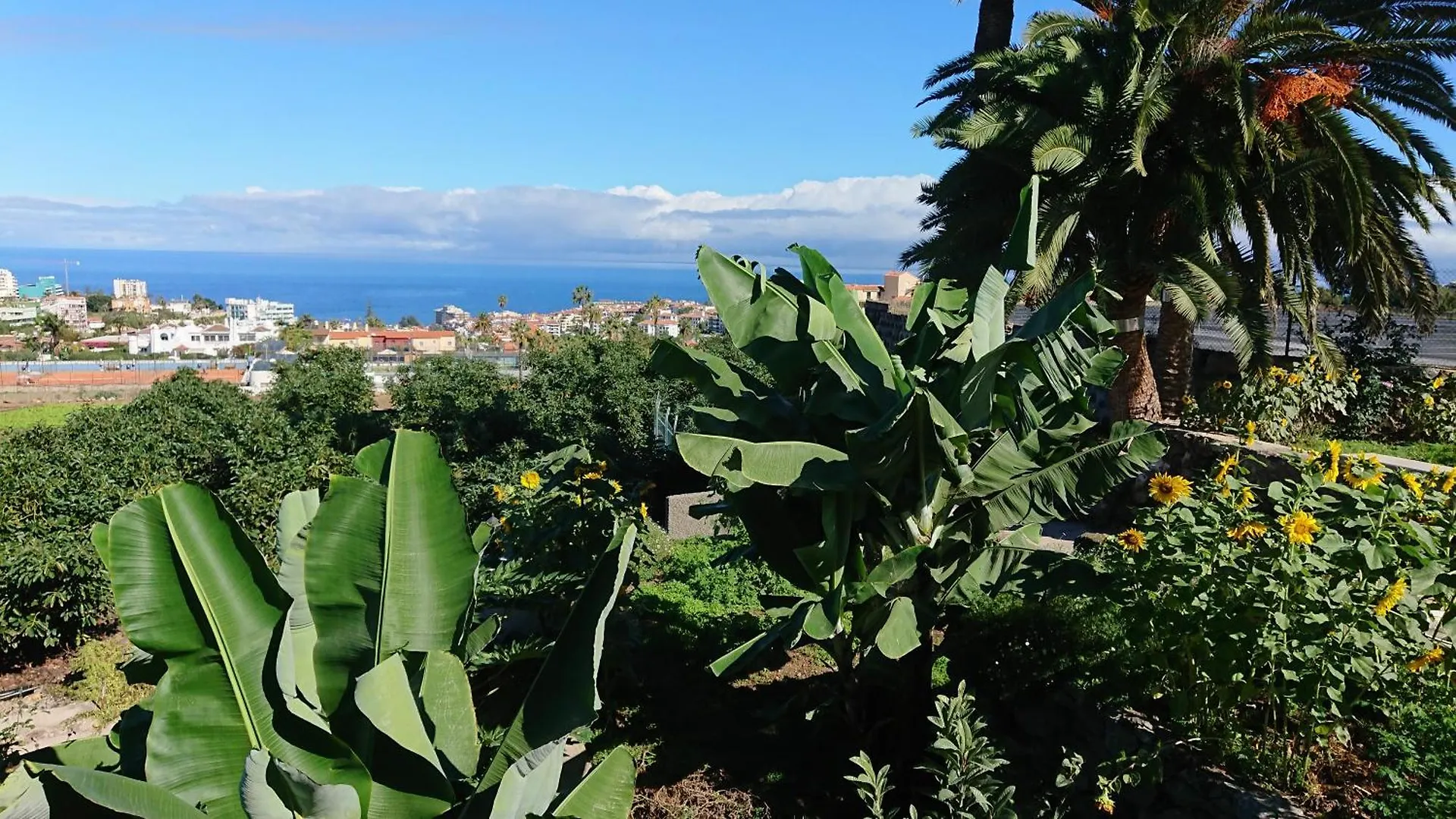 Finca Las Tapias, Casa Papin Puerto de la Cruz  Puerto de la Cruz (Tenerife)